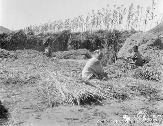 Kham pha cuoc song phu nu Trung Quoc dau the ky 19-Hinh-5